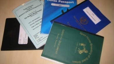 horse passport number