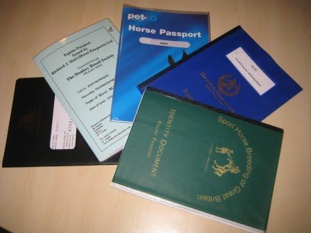 horse passport number